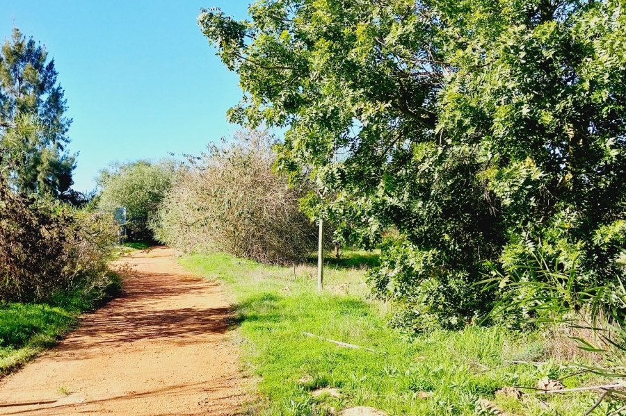 0 Bedroom Property for Sale in Tierfontein AH Western Cape